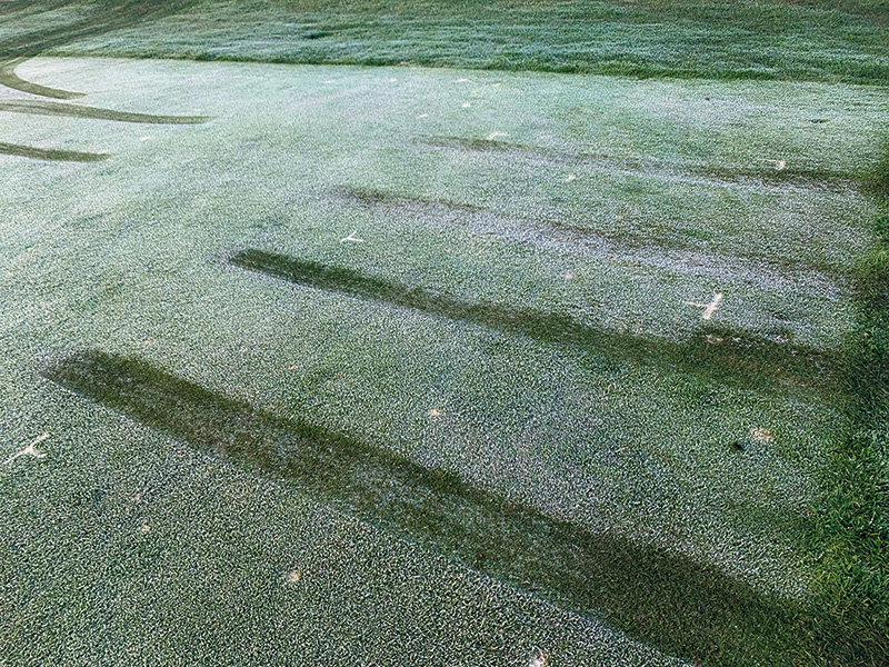 cart traffic on frost covered turf close up