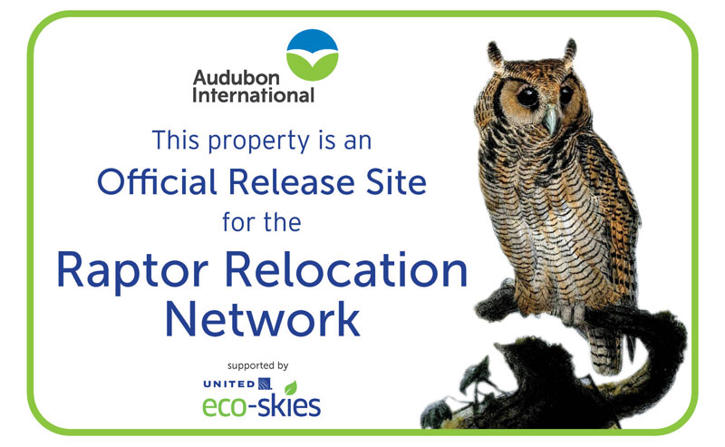 Raptor Relocation Network