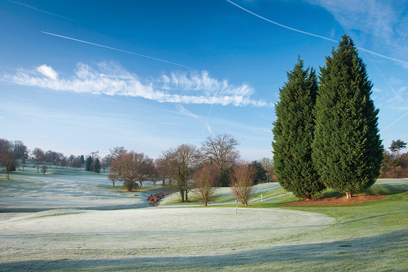 Frosty golf course
