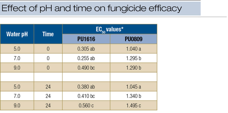 Turf fungicide efficacy