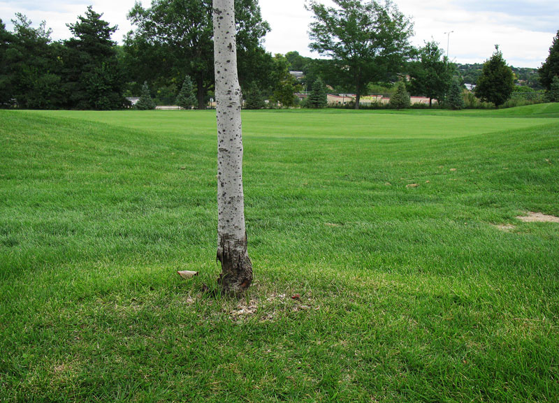 Mower blight