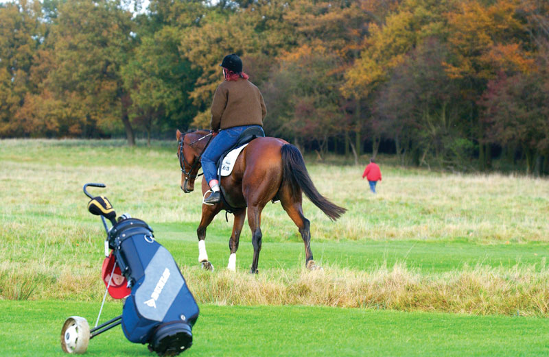 Copenhagen Golf Club horse riding