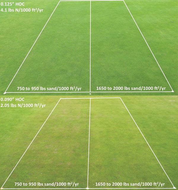 Annual bluegrass sand topdressing