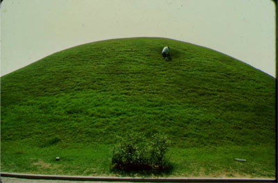 Kings tombs grass Korea