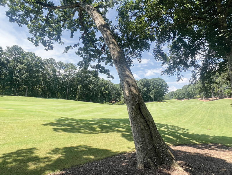 Aerial view of Ghost Creek golf course