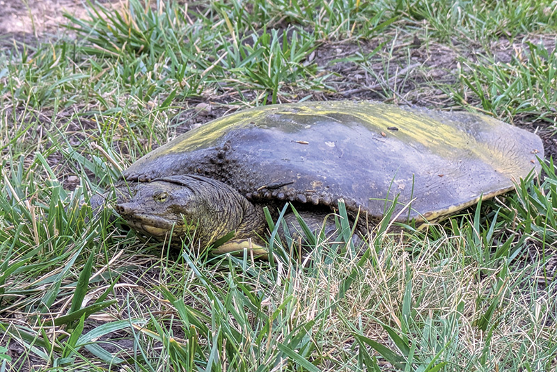 Aerial view of Ghost Creek golf course