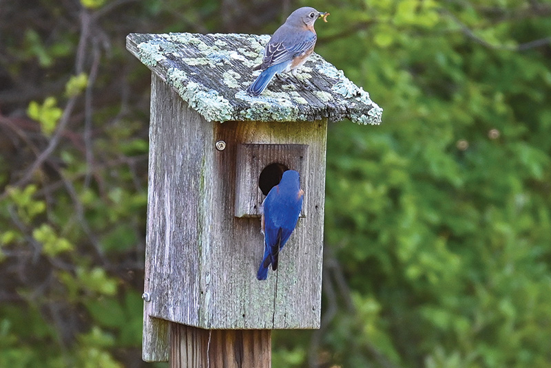 Aerial view of Ghost Creek golf course