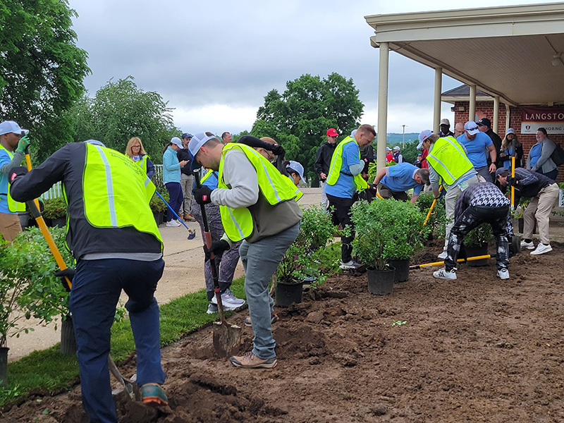 volunteers planting shrubs at Langston Golf Course