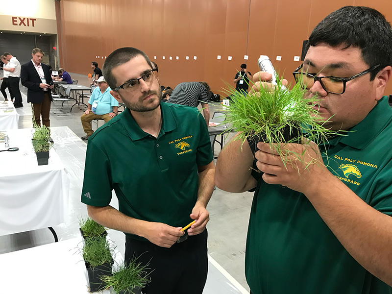 Two students in green Cal Poly Pomona uniforms compete in the 2024 Turf Bowl