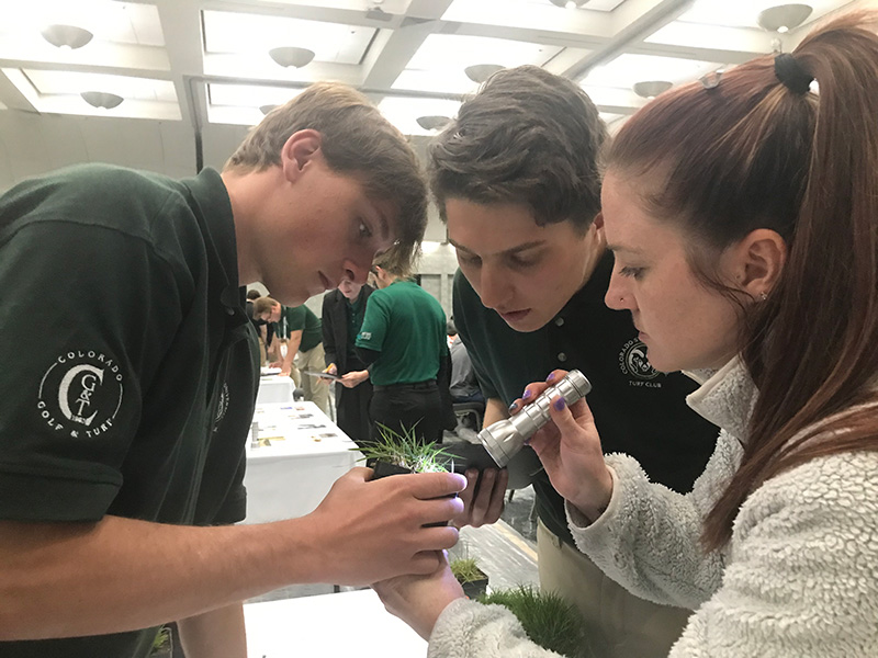 Two men and one woman examine a sample of turfgrass