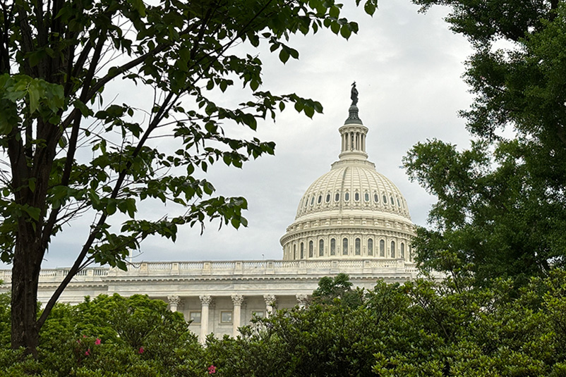 View of the U.S. Capitol Building through trees