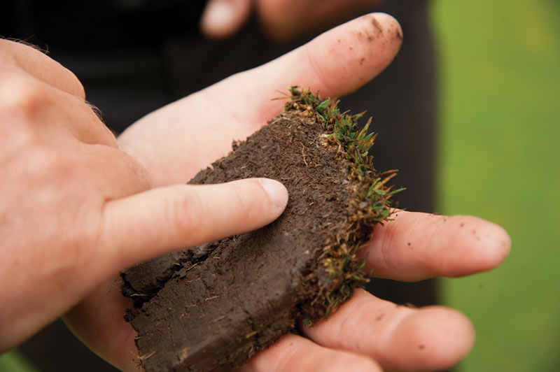 Turfgrass soil problems