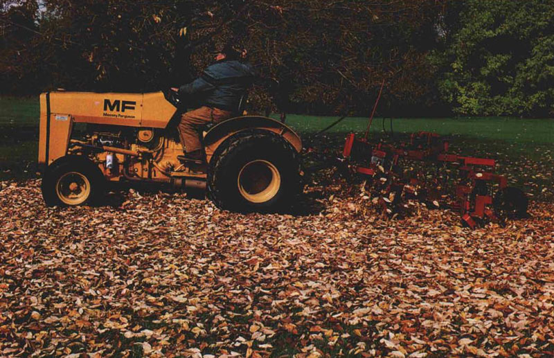 Mulching leaves golf course
