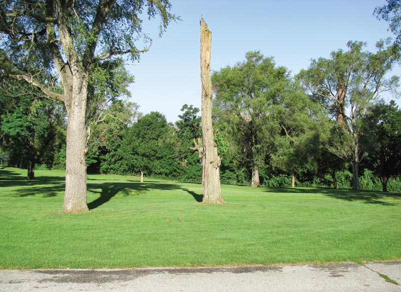 Habitat trees golf