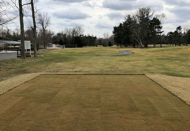 Tee box under construction