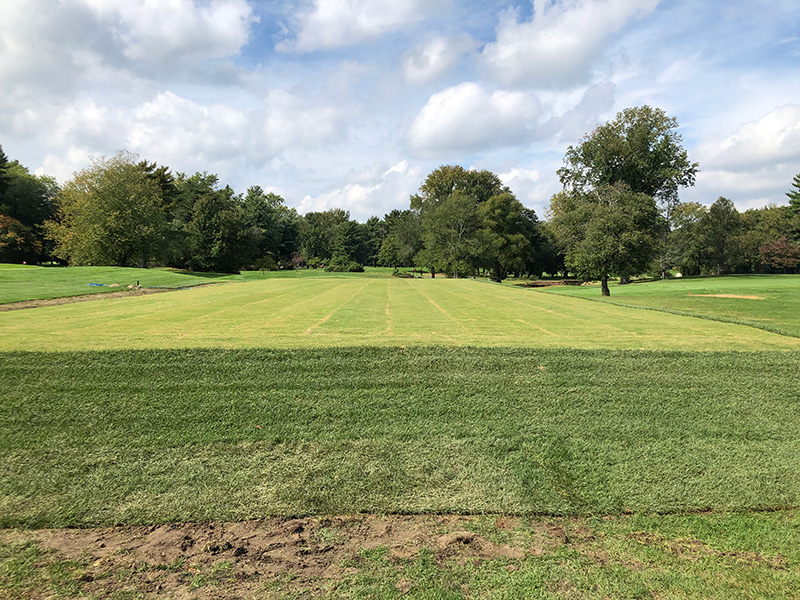 Tee box before renovation