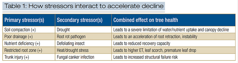 Aerial view of Ghost Creek golf course