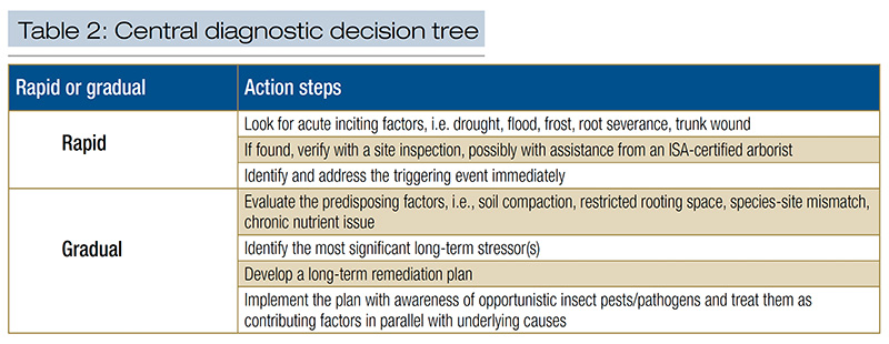 Aerial view of Ghost Creek golf course