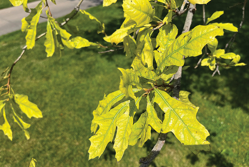 Aerial view of Ghost Creek golf course