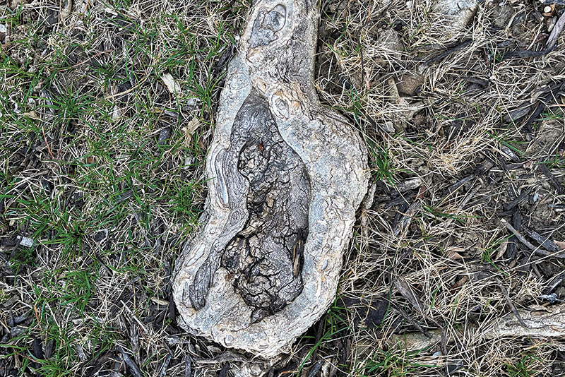 Aerial view of Ghost Creek golf course