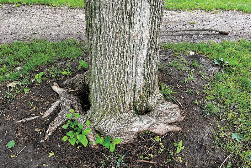 Aerial view of Ghost Creek golf course