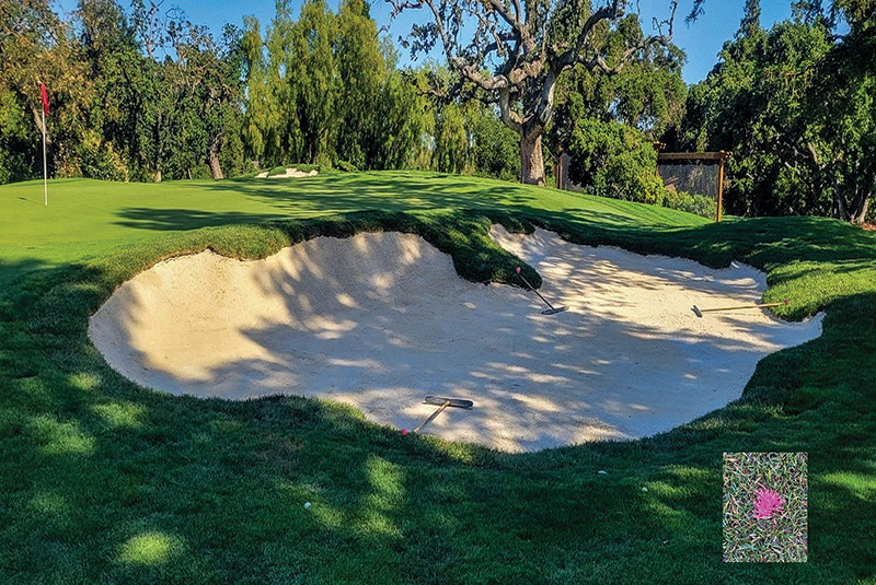 Aerial view of Ghost Creek golf course