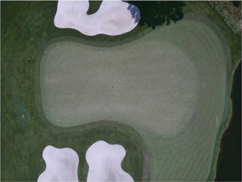 Drone putting green