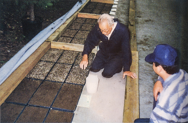 Aerial view of Ghost Creek golf course