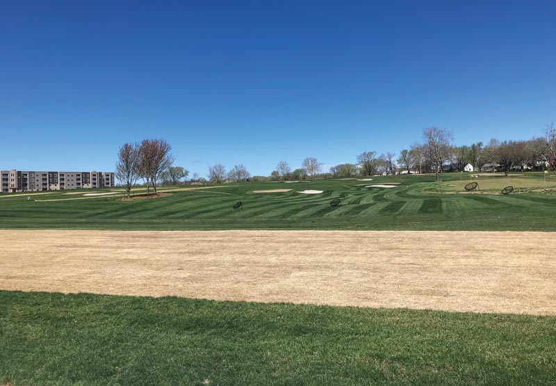 University of Kansas golf