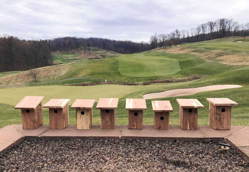 Golf course bird boxes