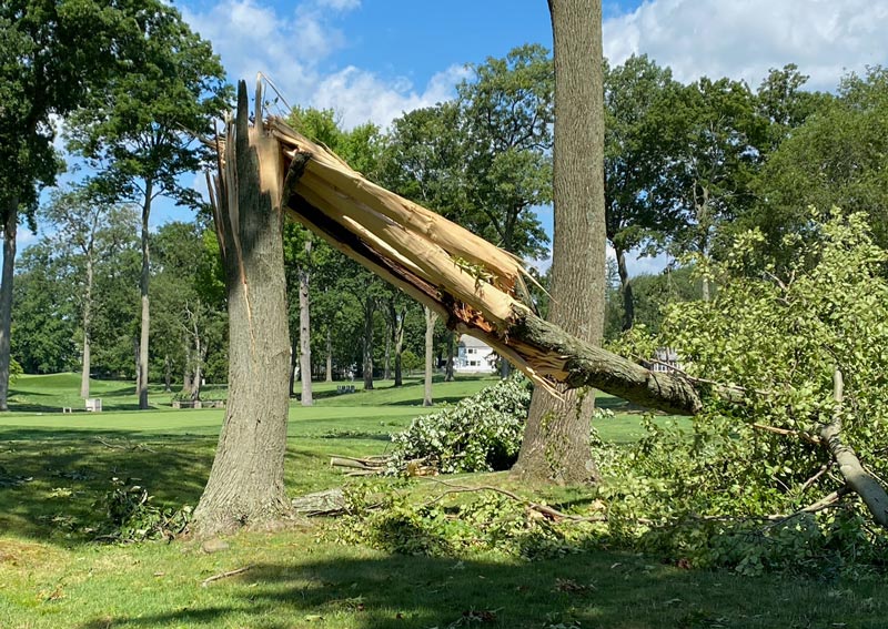 Winged Foot US Open damage