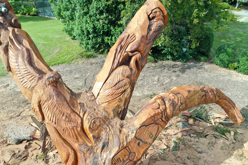 Golf course tree carving