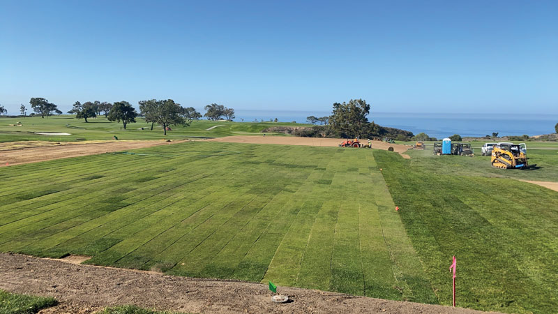 Torrey Pines US Open