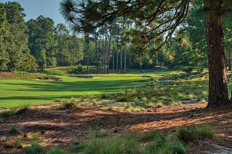 Pinehurst No. 2 fourth hole