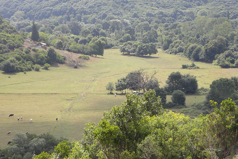 Aerial view of MVK Golf Course before construction