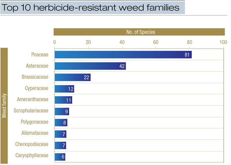 Herbicide-resistant weed families