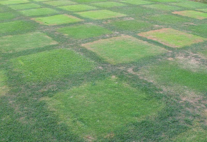 Fairway grasses irrigation