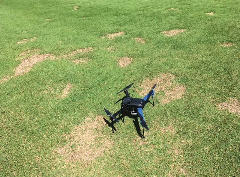 Spring dead spot drone