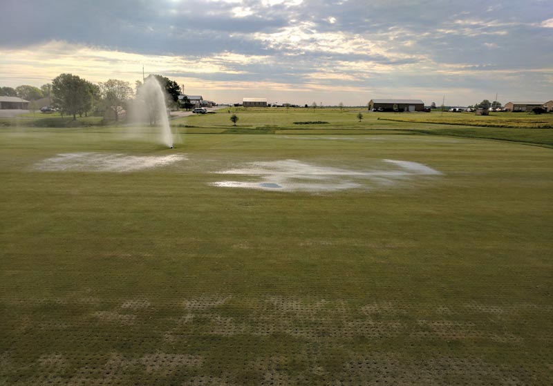 Wetting agents