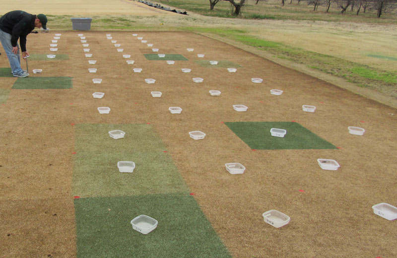 Fall wetting agent application