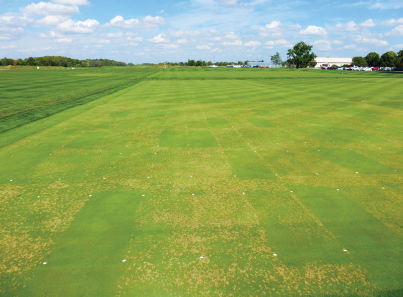 Water affects fungicides