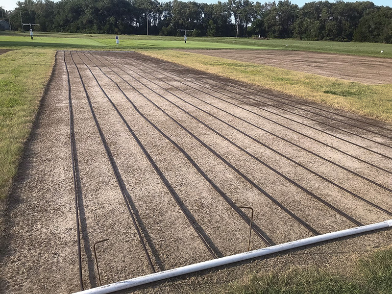 Drip irrigation lines on research plot