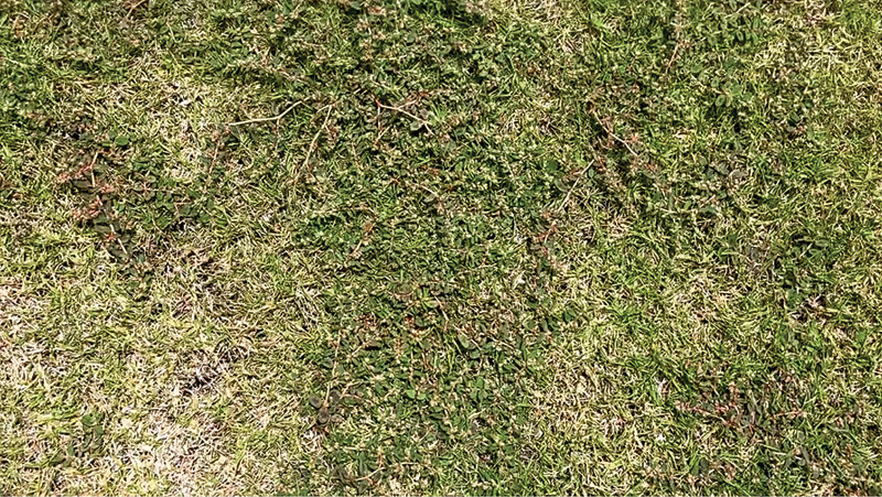 Aerial view of Ghost Creek golf course