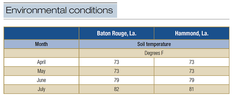 Test plot with centipedegrass at different mowing heights