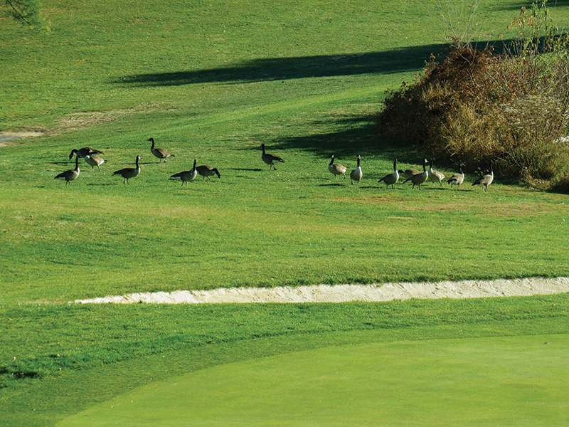 Aerial view of Ghost Creek golf course
