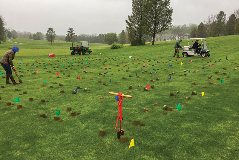 Golf course test plot