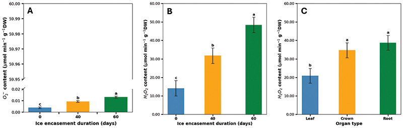 Aerial view of Ghost Creek golf course