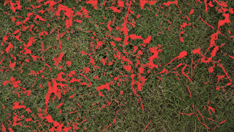 AI image segementation sample