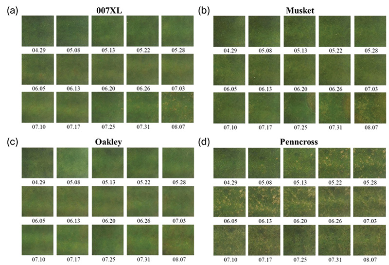 Aerial view of Ghost Creek golf course