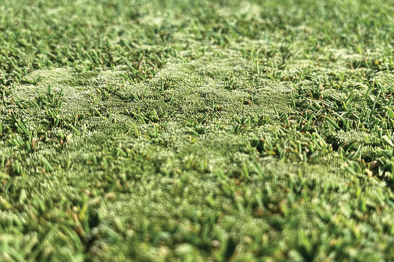 Aerial view of Ghost Creek golf course